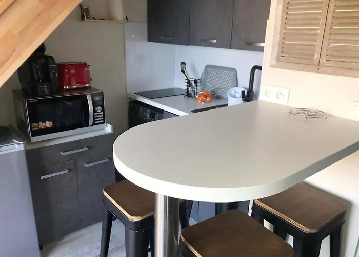 T2 Mezzanine 4 Pers, Vue Mer, Parking, Barcares - Fr-1-81-538 Lejlighed Le Barcarès