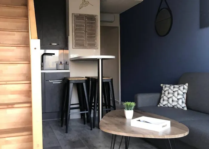 T2 Mezzanine 4 Pers, Vue Mer, Parking, Barcares - Fr-1-81-538