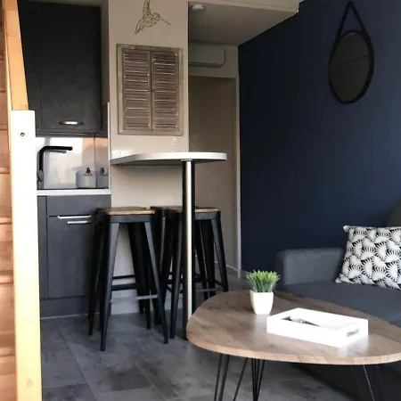 T2 Mezzanine 4 Pers, Vue Mer, Parking, Barcares - Fr-1-81-538